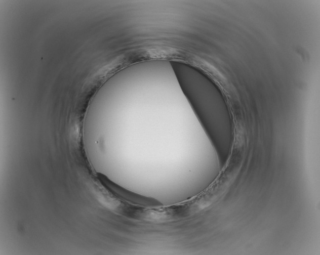 X0000111370405200907101021