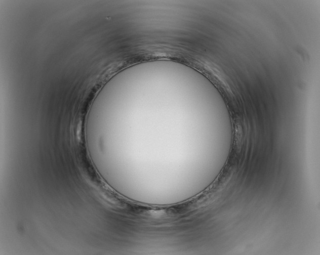 X0000111370406200907101021