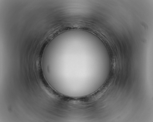 X0000111370408200907101021