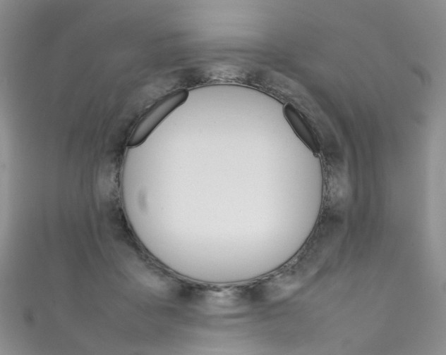 X0000111370411200907101021