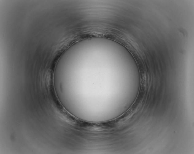 X0000111370412200907101021