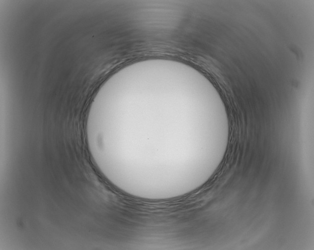 X0000111370415200907101021