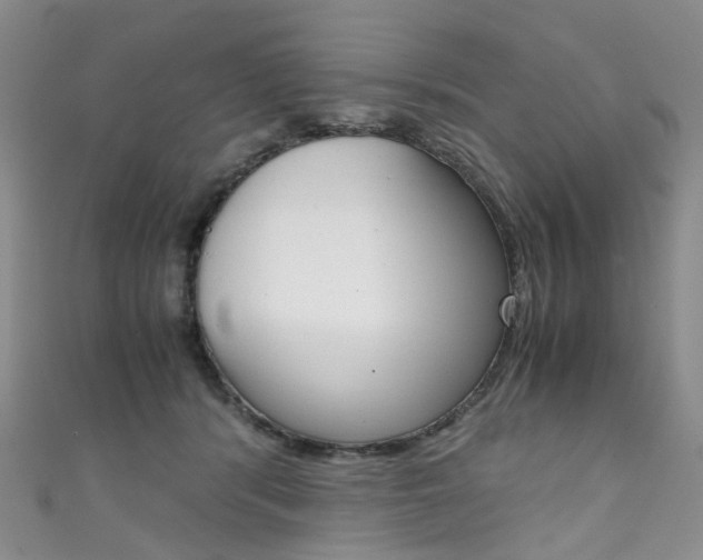 X0000111370416200907101021