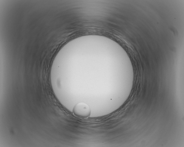 X0000111370417200907101021