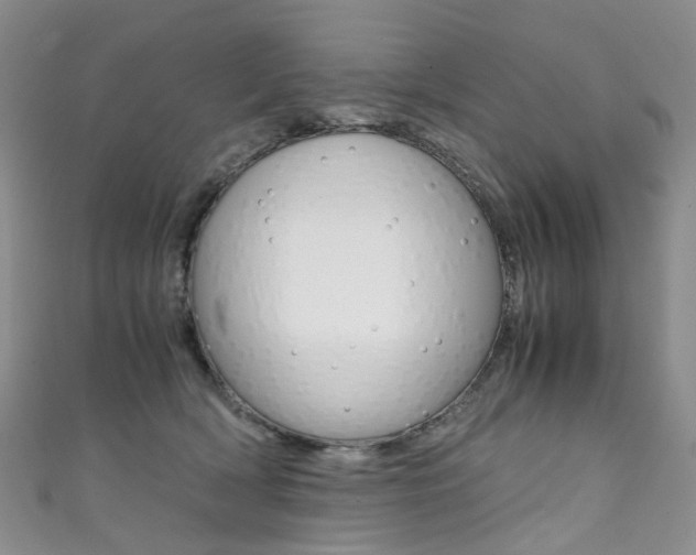 X0000111370418200907101021