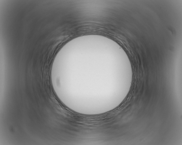 X0000111370423200907101021