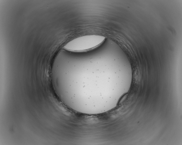 X0000111370424200907101021
