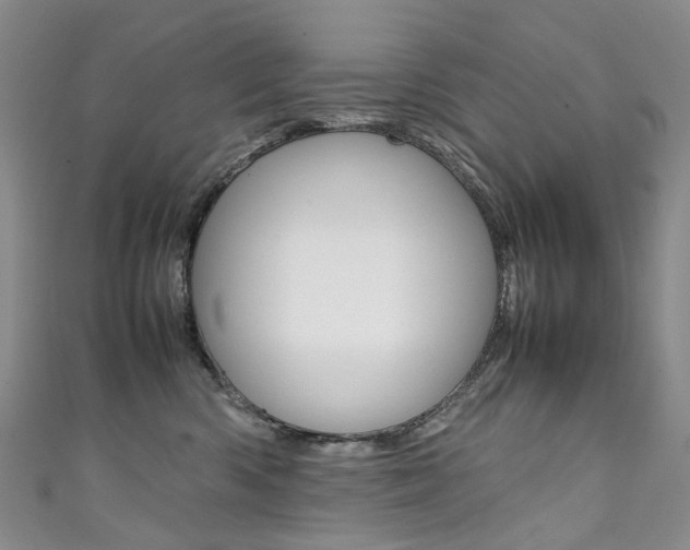 X0000111370426200907101021