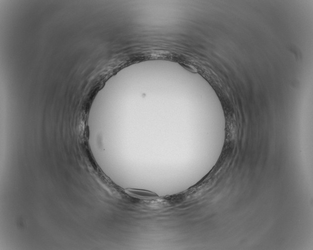 X0000111370427200907101021
