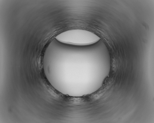 X0000111370428200907101021