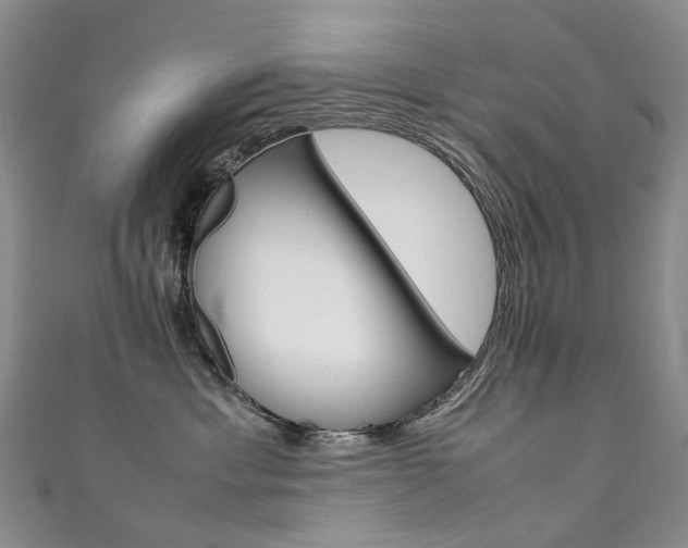 X0000111370429200907101021