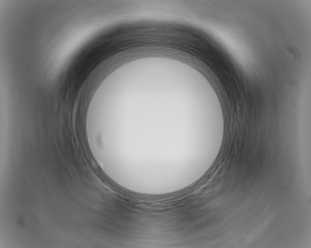 X0000111370431200907101021