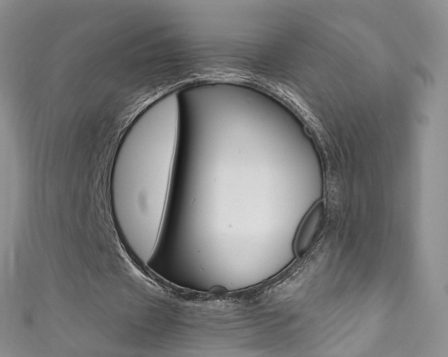X0000111370433200907101020