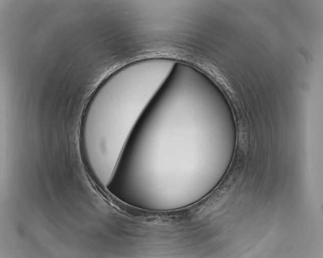 X0000111370434200907101020