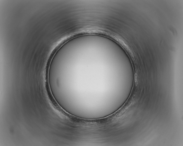 X0000111370438200907101020