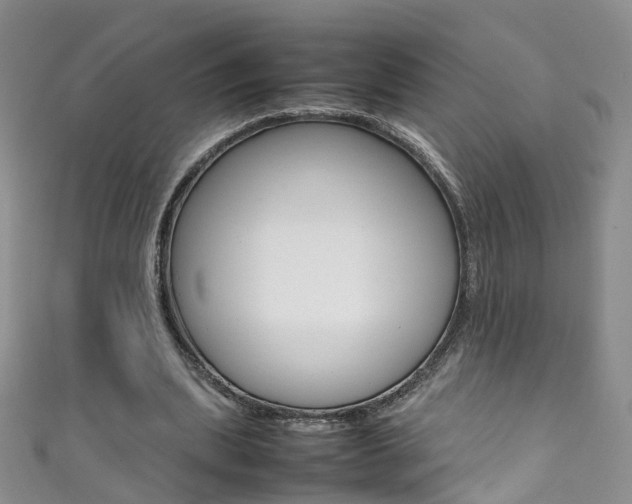 X0000111370439200907101020
