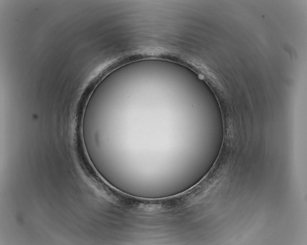 X0000111370440200907101020