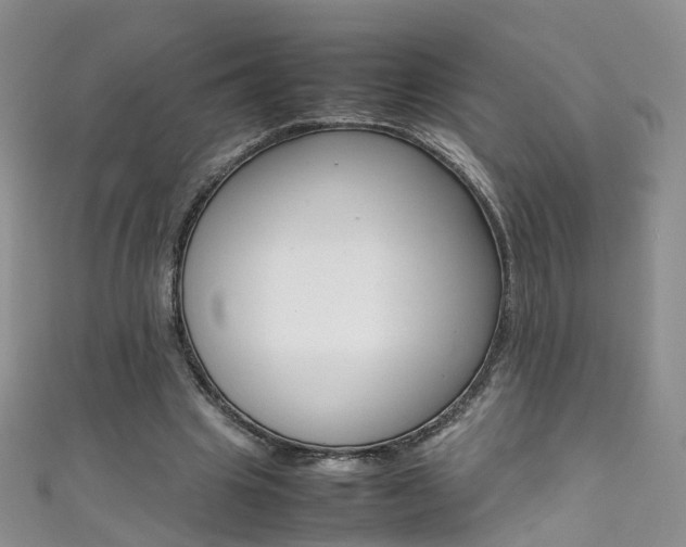 X0000111370441200907101020