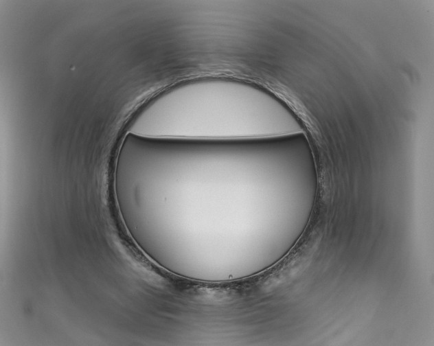 X0000111370442200907101020