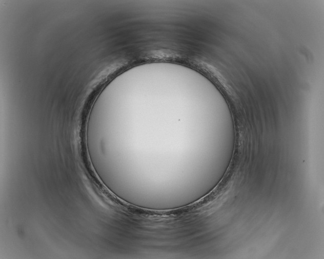 X0000111370443200907101020