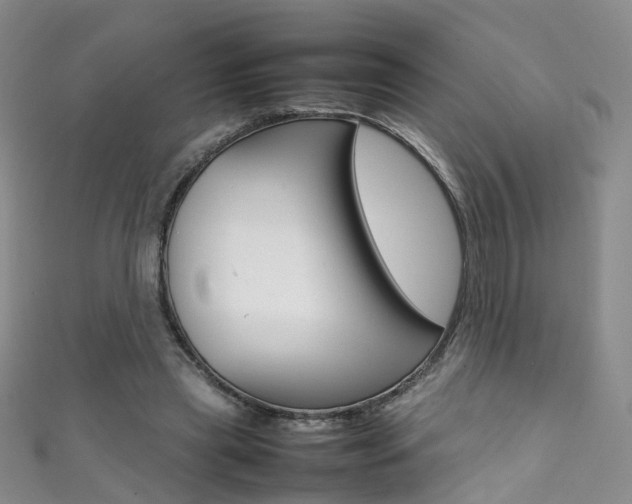 X0000111370445200907101020