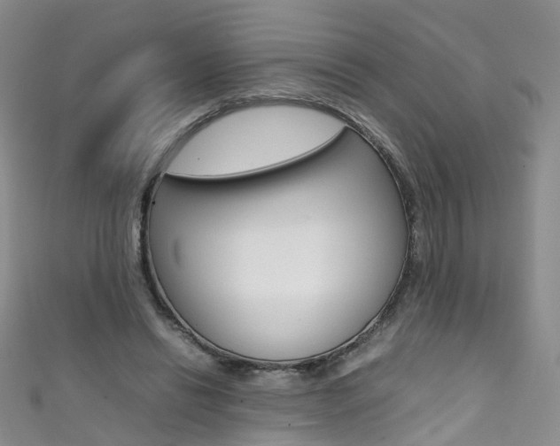 X0000111370446200907101020