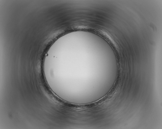 X0000111370447200907101020