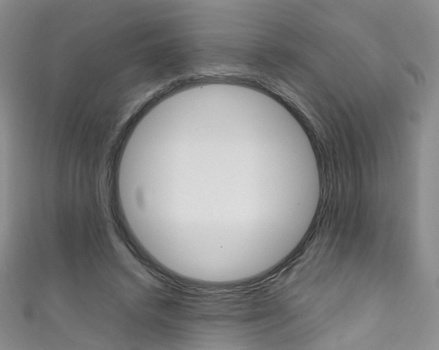 X0000111370448200907101020