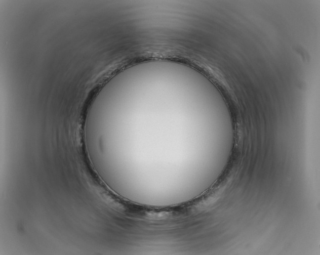 X0000111370450200907101020