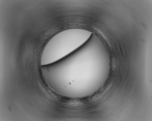 X0000111370451200907101020