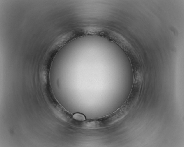 X0000111370452200907101020