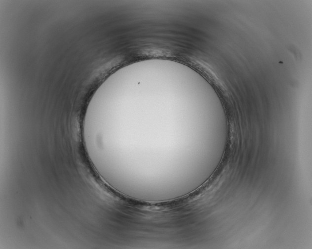 X0000111370453200907101020