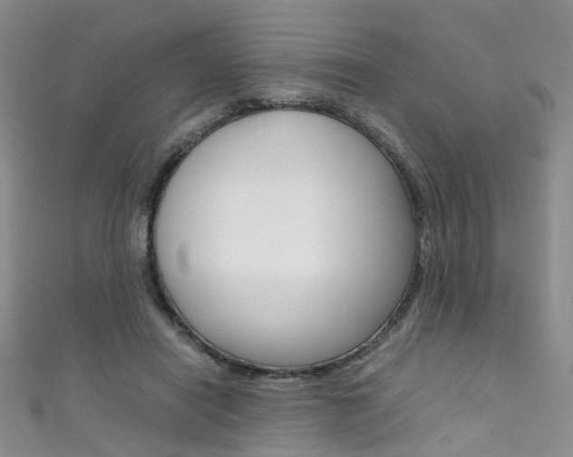 X0000111370454200907101020