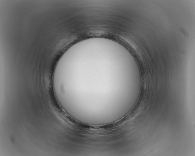 X0000111370455200907101020