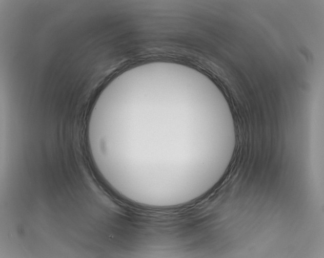 X0000111370456200907101020