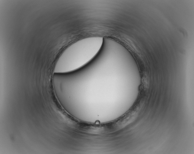 X0000111370458200907101020