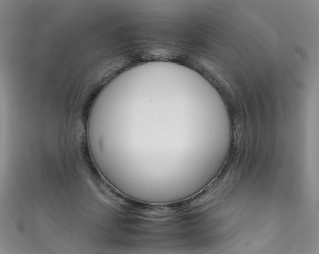 X0000111370459200907101020