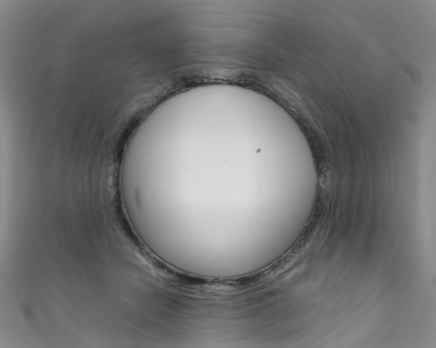 X0000111370462200907101020