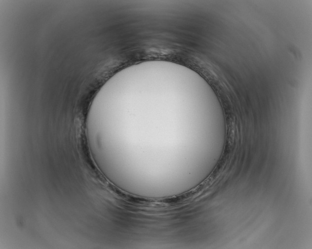 X0000111370463200907101020