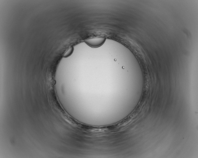 X0000111370465200907101020
