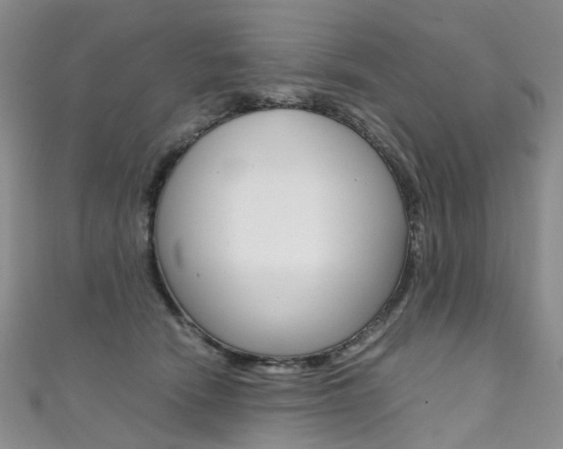 X0000111370466200907101020
