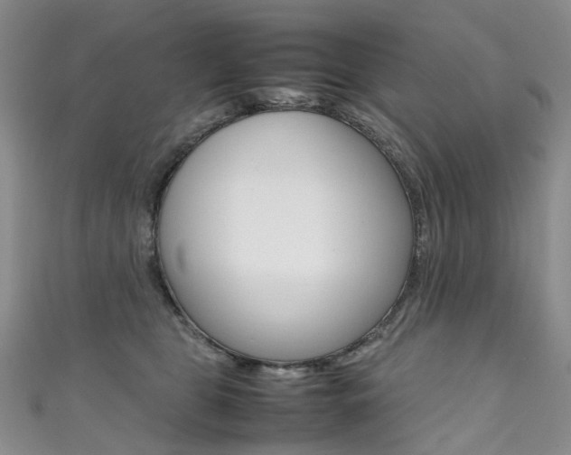 X0000111370469200907101020