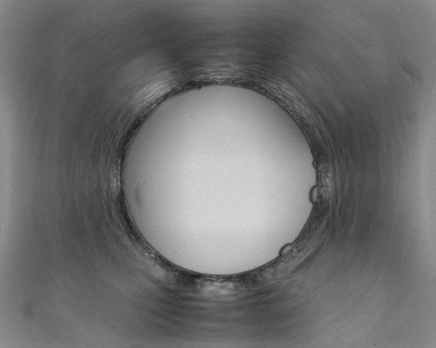 X0000111370471200907101020
