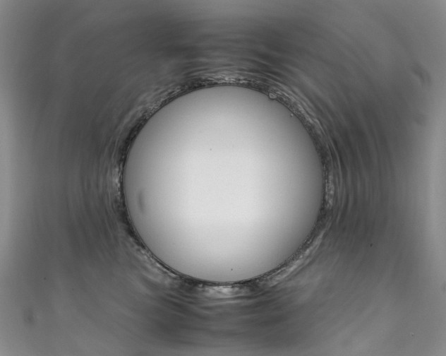 X0000111370473200907101021