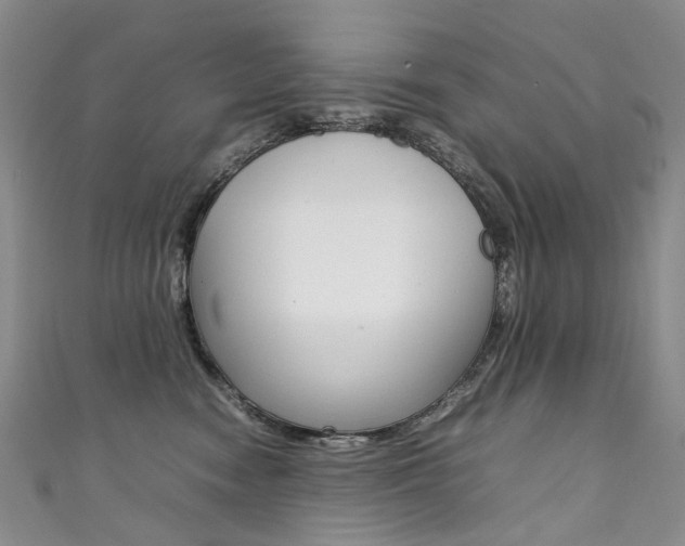 X0000111370474200907101021