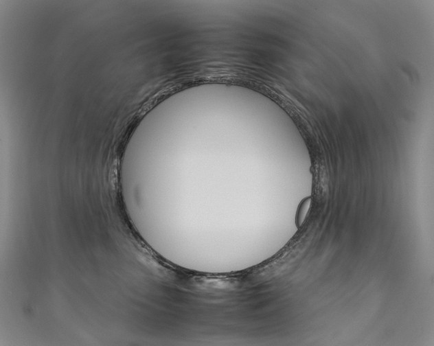 X0000111370475200907101021