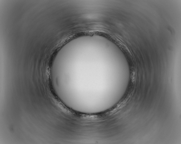 X0000111370476200907101021