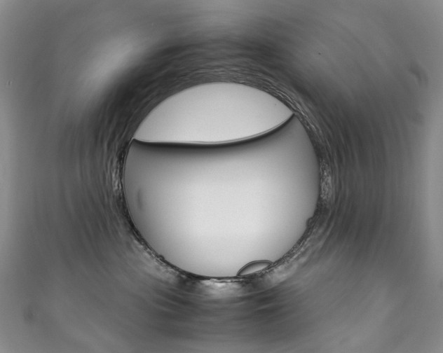 X0000111370477200907101021