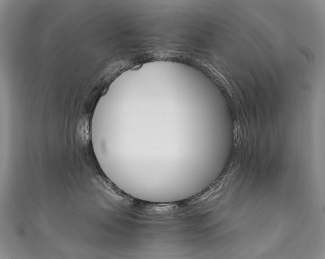 X0000111370479200907101021