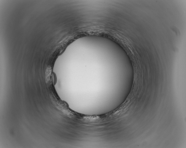 X0000111370480200907101021